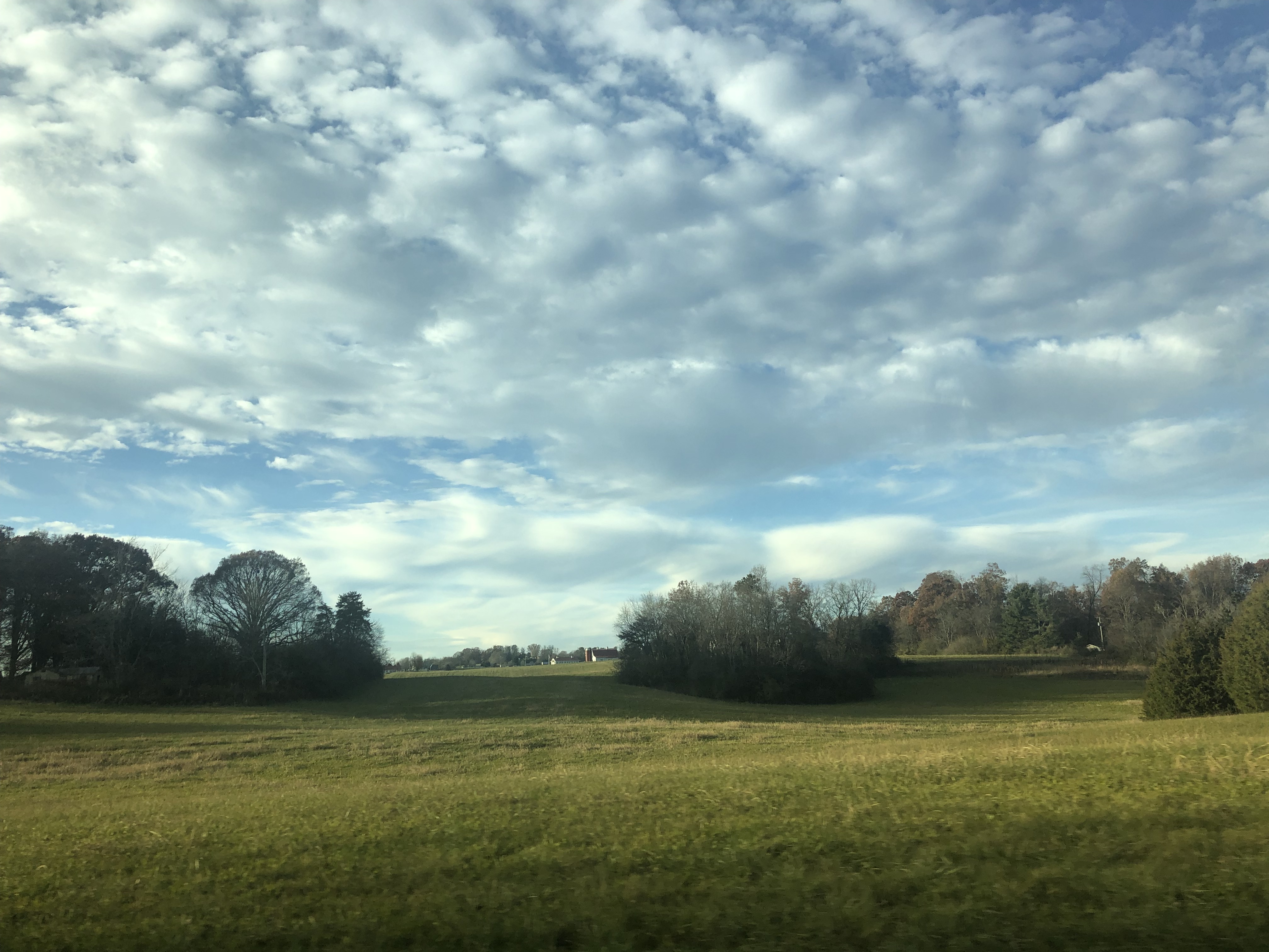 Gratitude week Continues 💛