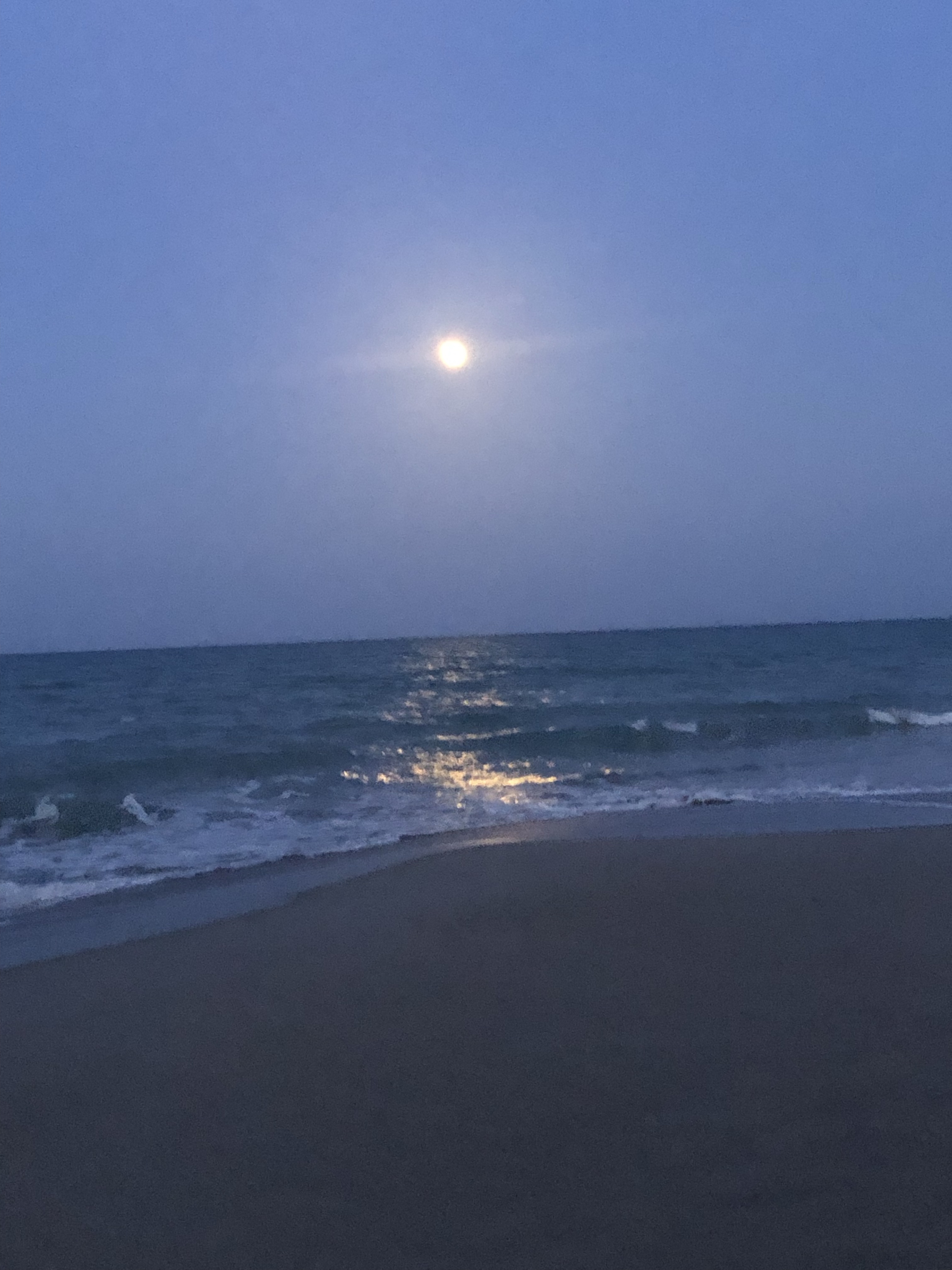 A Beach Break for the Family