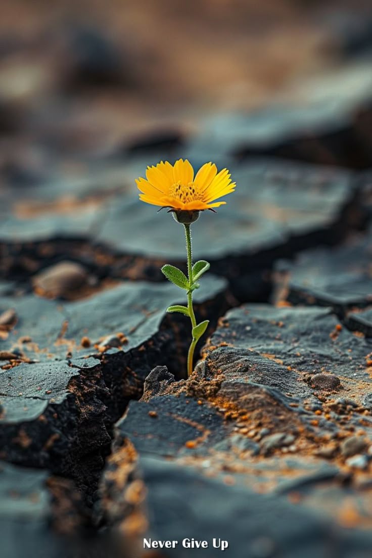 Grace, Guts & Getting Real