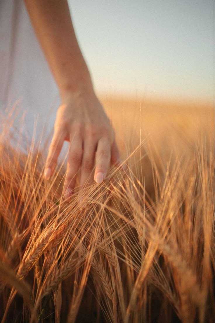 Finding My Footing: Life’s Dance Between Chaos and Clarity