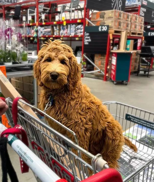 Daily Writing Prompt | How It’d Be For Me