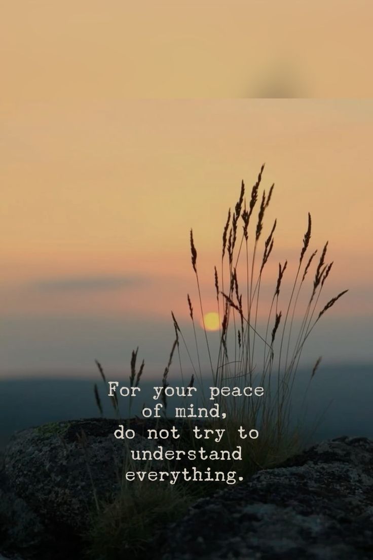 Sip Slow, Pray Bold: Trusting God in the In-Between