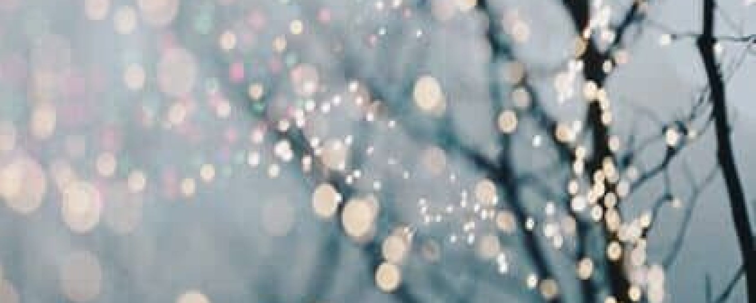 Christmas Hustle 2021