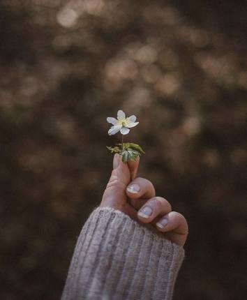 Self- Reflection | Who am I?