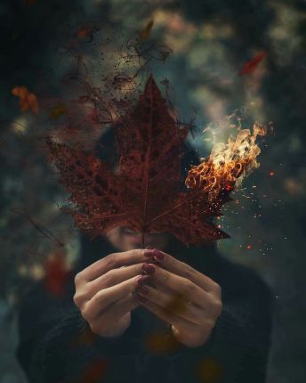 The Death Season & (Re-birth)