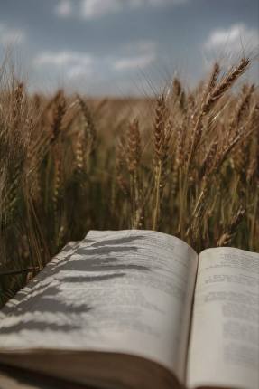 Since You’ve Been Gone