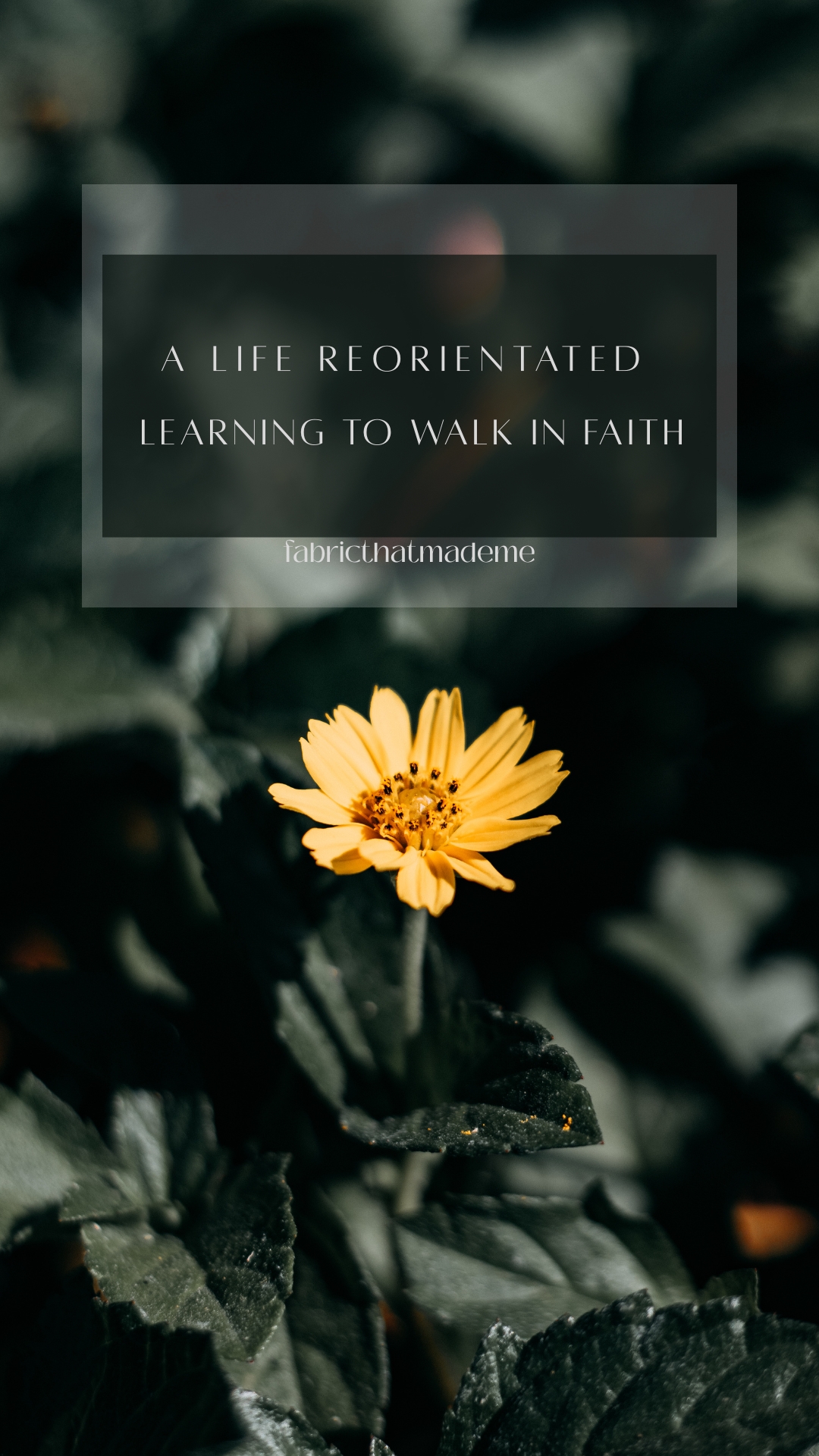 A Life Reoriented through Faith